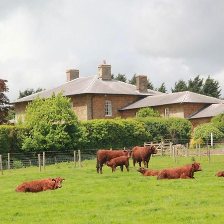 Seawell Bed & Breakfast Towcester Eksteriør bilde