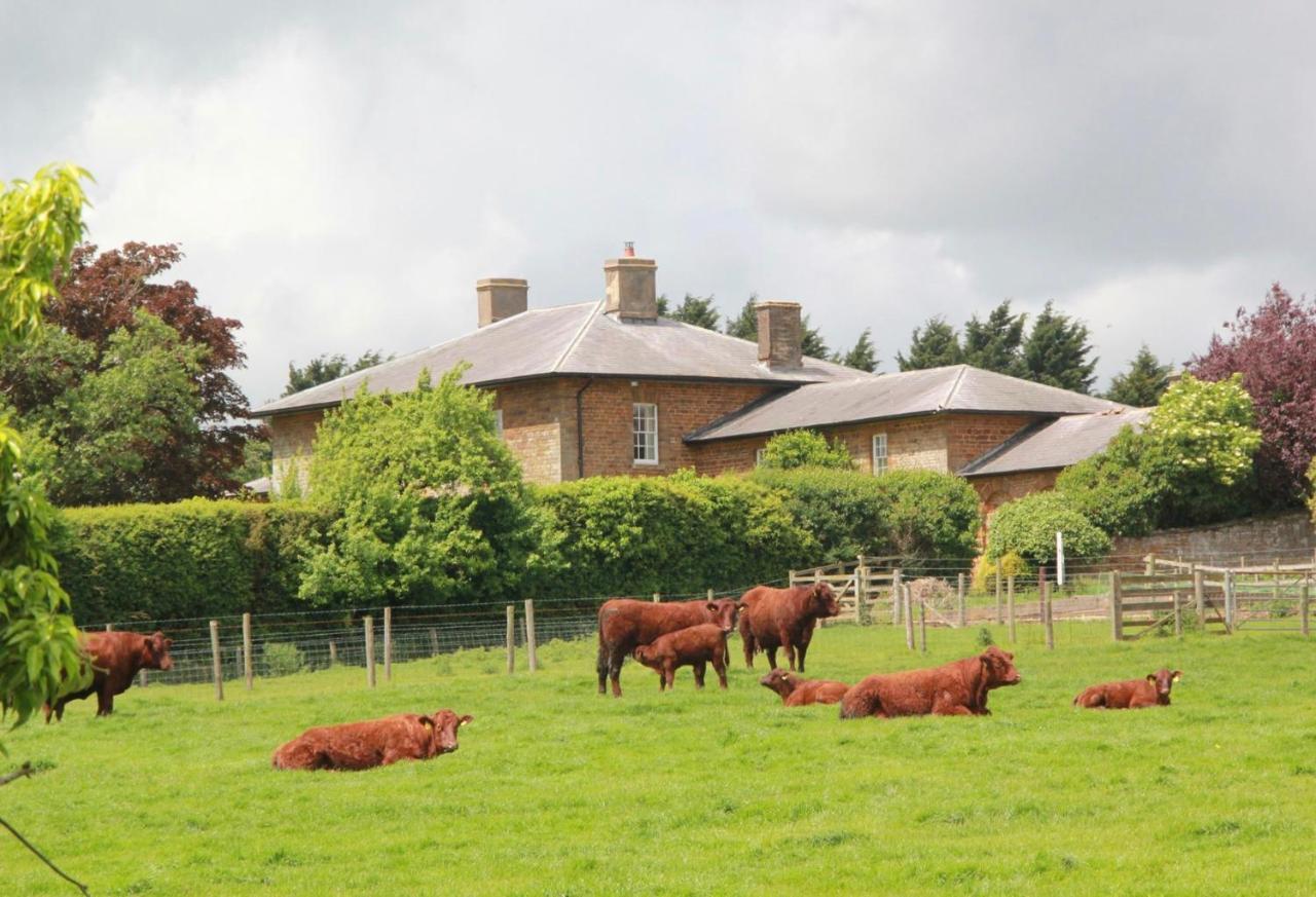 Seawell Bed & Breakfast Towcester Eksteriør bilde